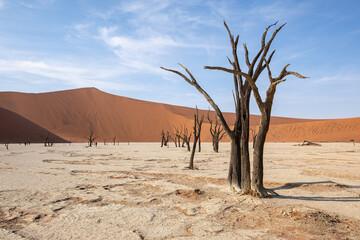 Dead Vlei dans le désert du Namib en Namibie