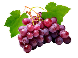 grape isolated on transparent or white background, png