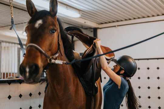 Woman in stable putting saddle on horse