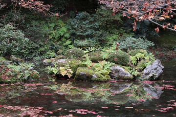 京都の寺院の池