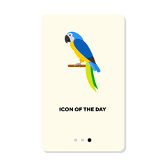 Macaw on white background. Colorful bird cartoon illustration. Wildlife and nature concept. Vector illustration symbol elements for web design and apps