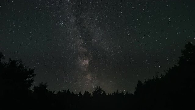 Timelapse of The Milky Way galaxy moves above the silhouettes of trees