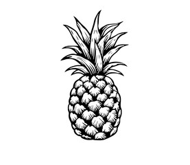  pineapple on white background.Hand-drawn, doodle, vector,