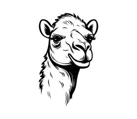 Cute camel, vector illustration as a design element
