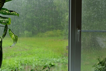 Raindrops on a window pane. Rain drops on transparent glass on a green background. Soft focus....