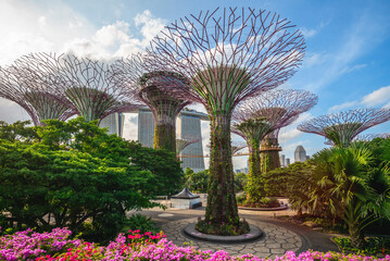 February 6, 2020: Supertree grove at marina bay garden in singapore, were conceived and designed by...