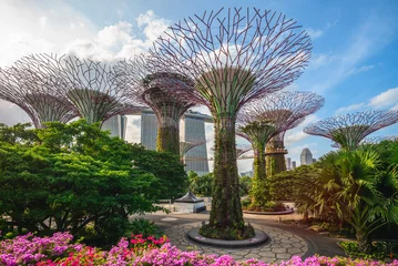 Schilderijen op glas February 6, 2020: Supertree grove at marina bay garden in singapore, were conceived and designed by Grant Associates. Each supertree has its own planted character and specific environmental function. © Richie Chan