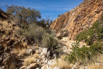 Randonnée de l'Olive trail dan sle parc du Naufluck en Namibie