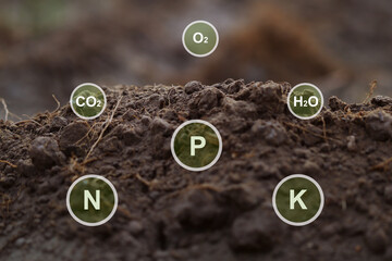 Close up fertile loamy soil for planting on spoon with 16 digital nutrients icon which necessary in plant life, Plant Nutrients, Macronutrients, Micronutrients. Agriculture concept. - obrazy, fototapety, plakaty