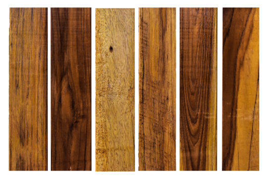 collection of various empty wood panel isolated on transparent background. PNG Format