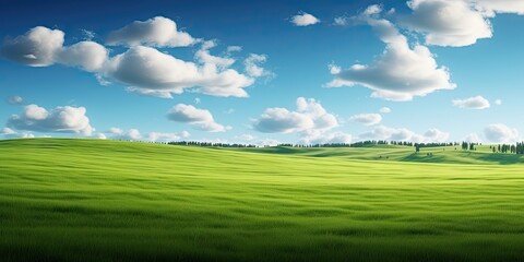 Fototapeta premium Nature canvas. Vibrant fields under blue sky. Meadow serenity. Embracing tranquility of summer. Horizons unveiled. Exploring beauty of green field