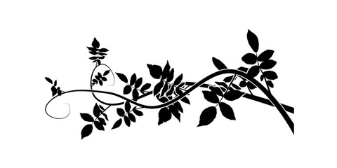 ornamental element hawthorn weaving plant. vector