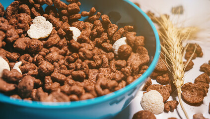 Chocolate cereal in blue bowl on white background. Cornflakes. Breakfast concept. food suitable for children.