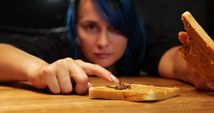 Whew, live cockroach lies in peanut butter sandwich. Young woman looks with curiosity and disgust, touches clinging bug's upside-down foot with her fingernail, and throw away spoiled peace of bread.