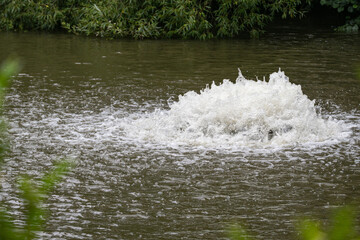 Bubbling water - oxygenation on the lake.