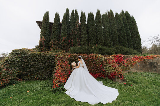 Beautiful bride against the background of autumn leaves and tall trees. Wide-angle photo of the bride in a dress with a long train