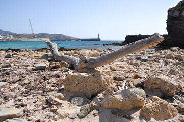 rocas y tronco de madewra en la playa