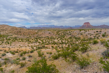 Big Bend National Park