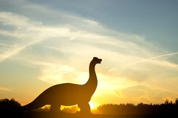 Keuken spatwand met foto Silhouette of dinosaur against the sunset © ecrow