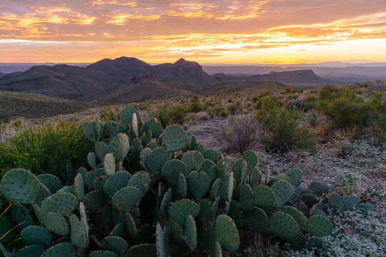 Big Bend National Park