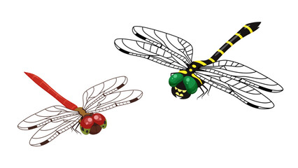 アキアカネとオニヤンマのイラスト © ふわぷか