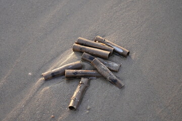 Garbage on the beach of the Baltic Sea. Environmental pollution.