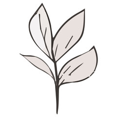 Obraz premium AI生成、植物、スケッチ