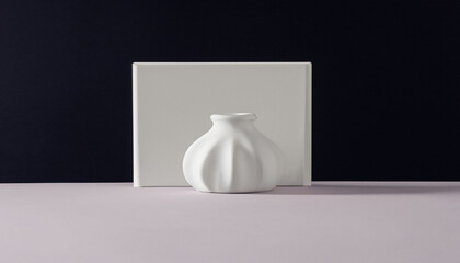Fototapeta na wymiar white vase on a black background