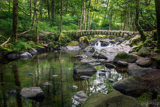 Beautiful stone bridge over the river at the waterfall of 'saut des cuves' close to the town of Xonrupt-longemer in the French Vosges