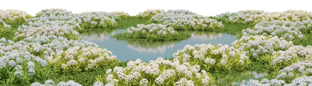 Field of white flower on the lagoon,  Flowres on the garden in springtime with isolated on transparent background - PNG file, 3D rendering illustration