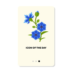 Blooming cornflower flat icon. Cornflower isolated. Summer, spring, nature concept. Vector illustration symbol elements for web design