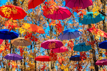 Multicolored umbrellas on the autumn park. Colorful umbrellas hanging among trees in the fall