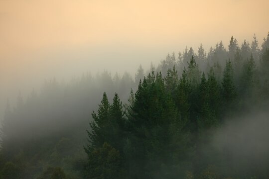 Mountains in mist in New Zealand