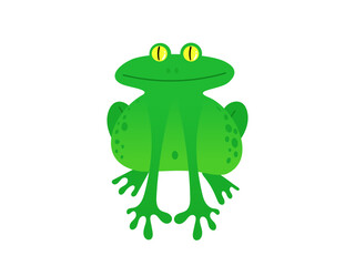Funny fat green frog isolated on white background. Flat vector illustration.