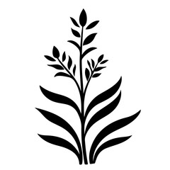 herb plant illustration