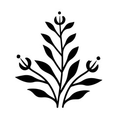 herb plant illustration