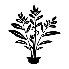 herb plant illustration