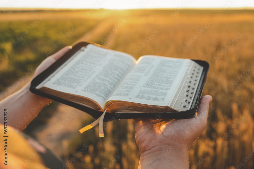 Wall mural open bible in hands, wheat field and road, christian concept - Wall murals
