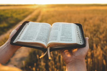 Open bible in hands, wheat field and road, christian concept