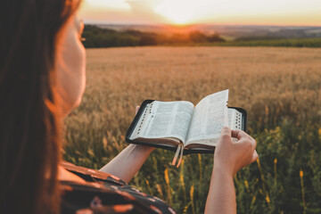 Open bible in hands, sunset in the wheat field, christian concept