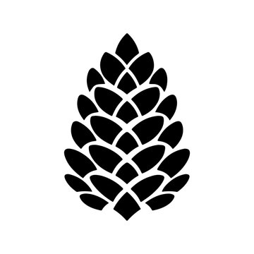 pine cone logo
