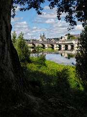 Bridge Jacques-Gabriel over the Loire river and Saint Nicholas church at Blois seen behind the leaves of a tree