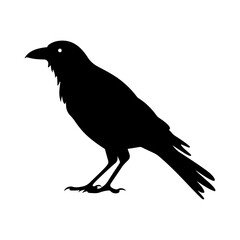 Crow silhouette