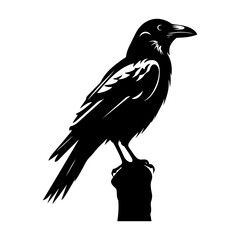 Crow silhouette