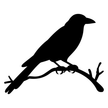 recommend clip art: Crow silhouette