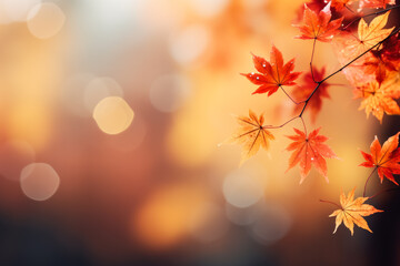Naklejka na ściany i meble Banner design for autumn with red and yellow maple leaves with soft focus light and bokeh background 