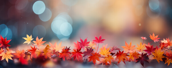 Banner design for autumn with red and yellow maple leaves with soft focus light and bokeh background 