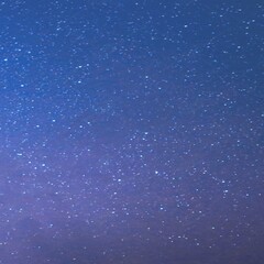 Bright stars are glittering in the night sky.