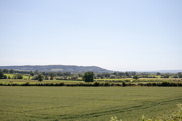 Fototapeta na wymiar Rural landscape in the English summertime.