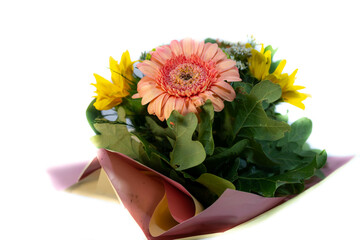 Beautiful gerbera daisy flower bouquet close up shot, isolated on white background.